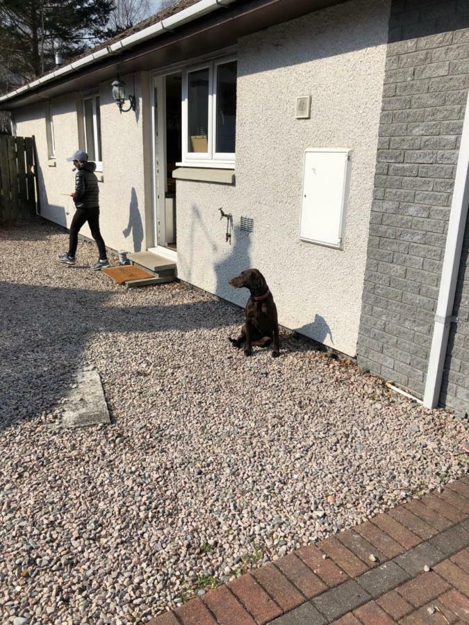 Linmore Aviemore Exteriör bild