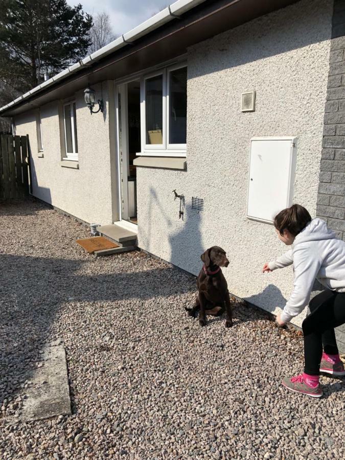 Linmore Aviemore Exteriör bild
